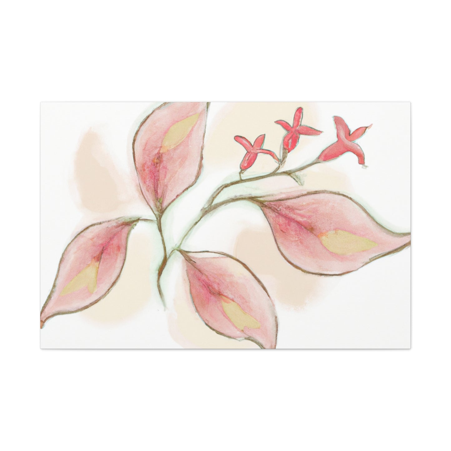 Rosellina Canvas Print - Canvas