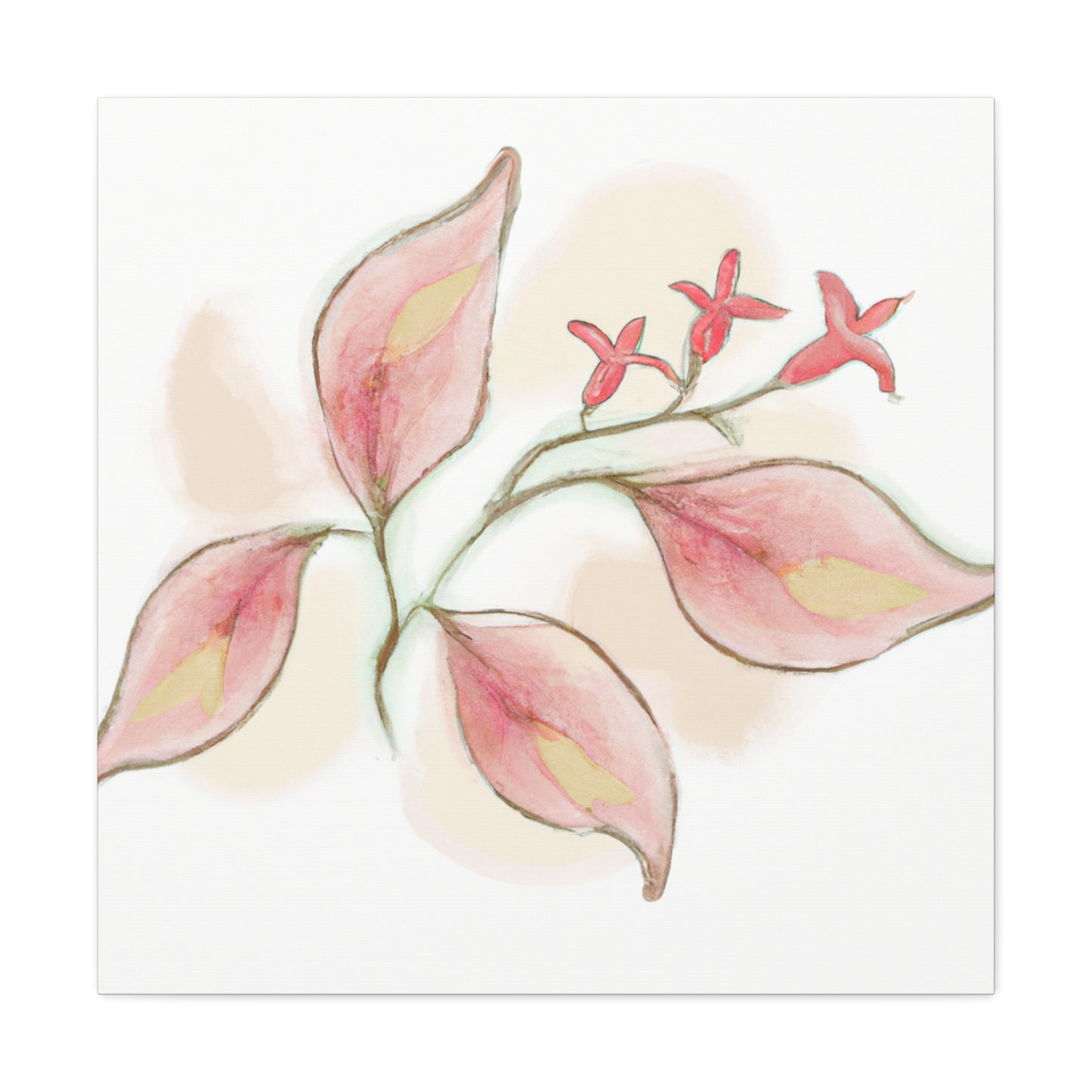Rosellina Canvas Print - Canvas