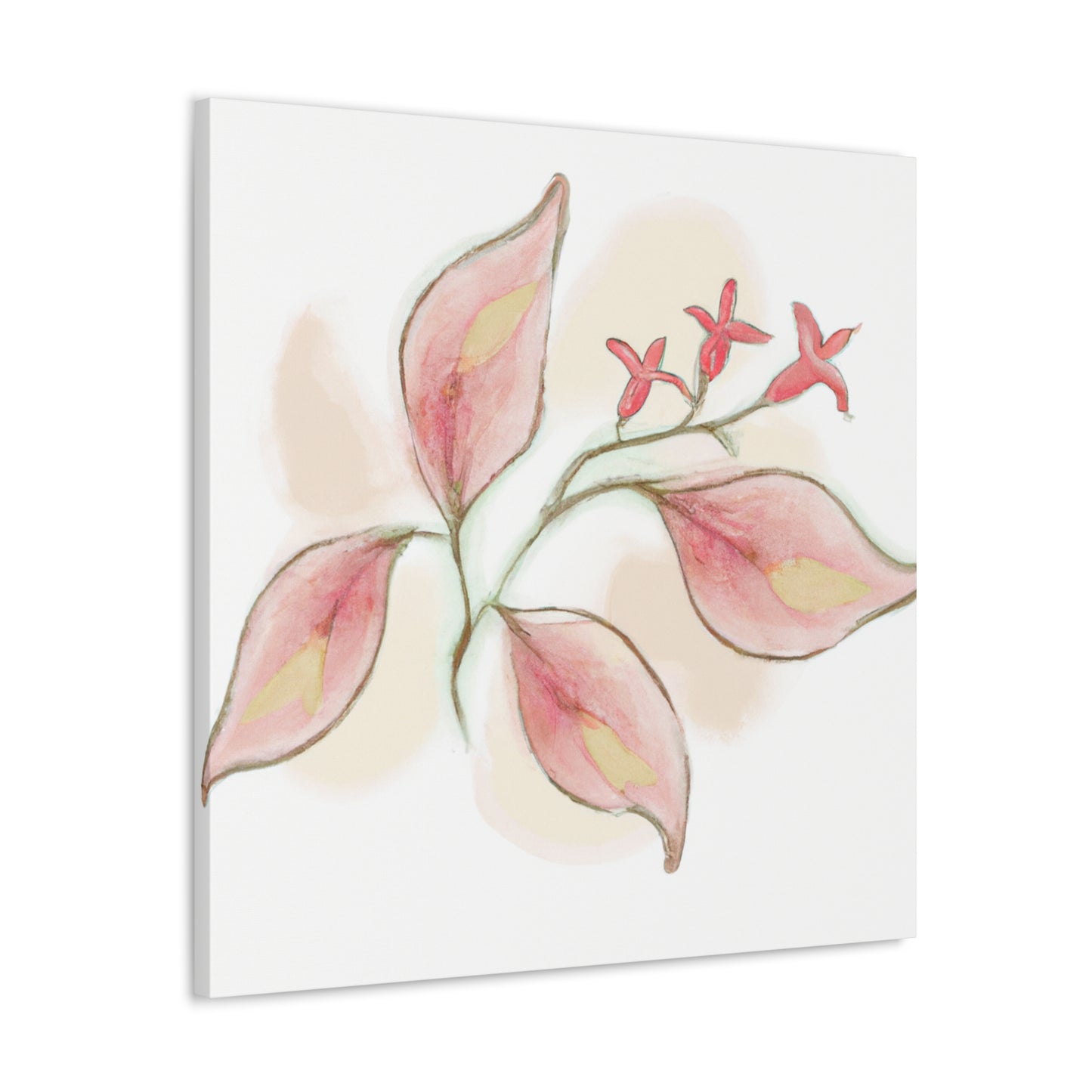 Rosellina Canvas Print - Canvas