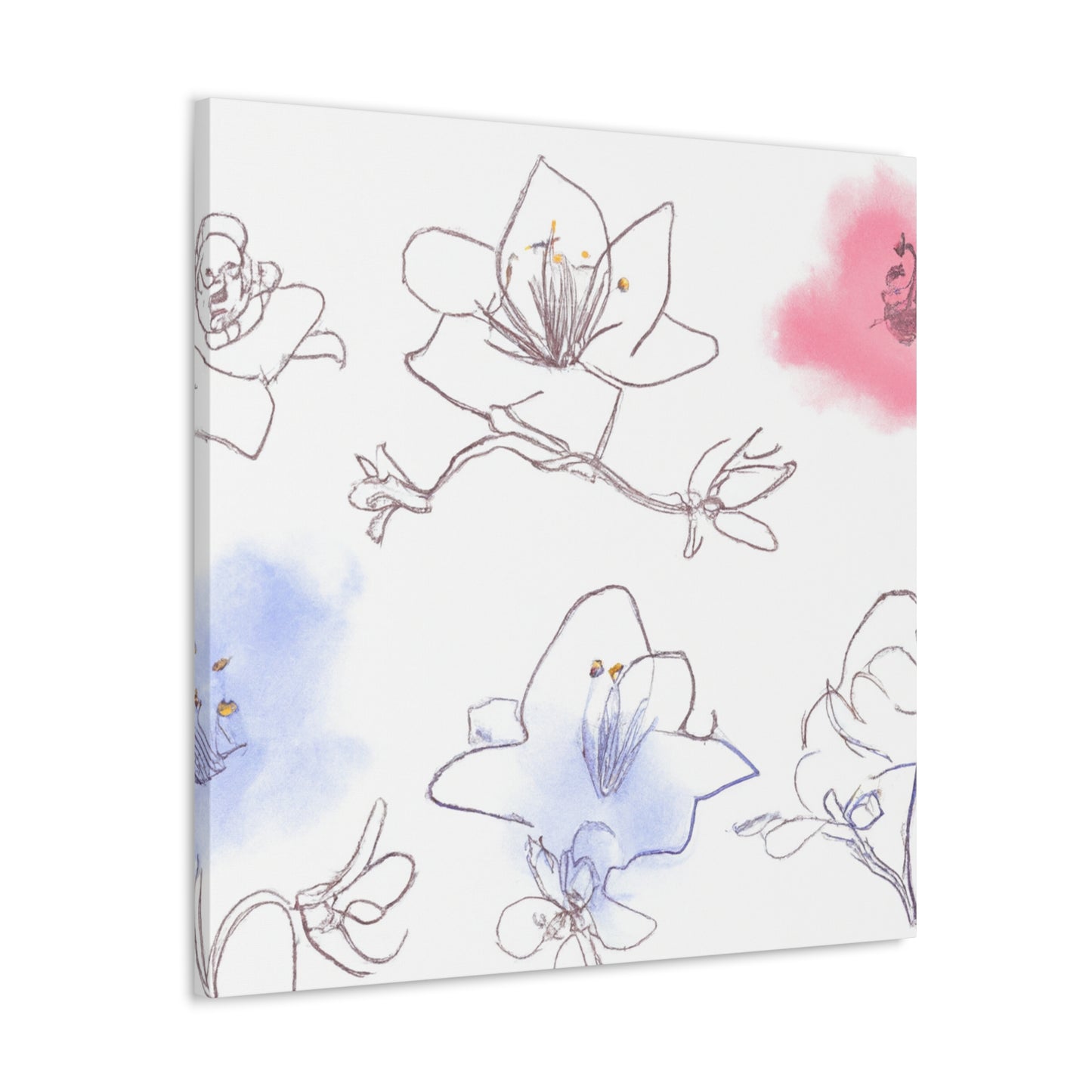 Adalia Canvas Prints - Canvas