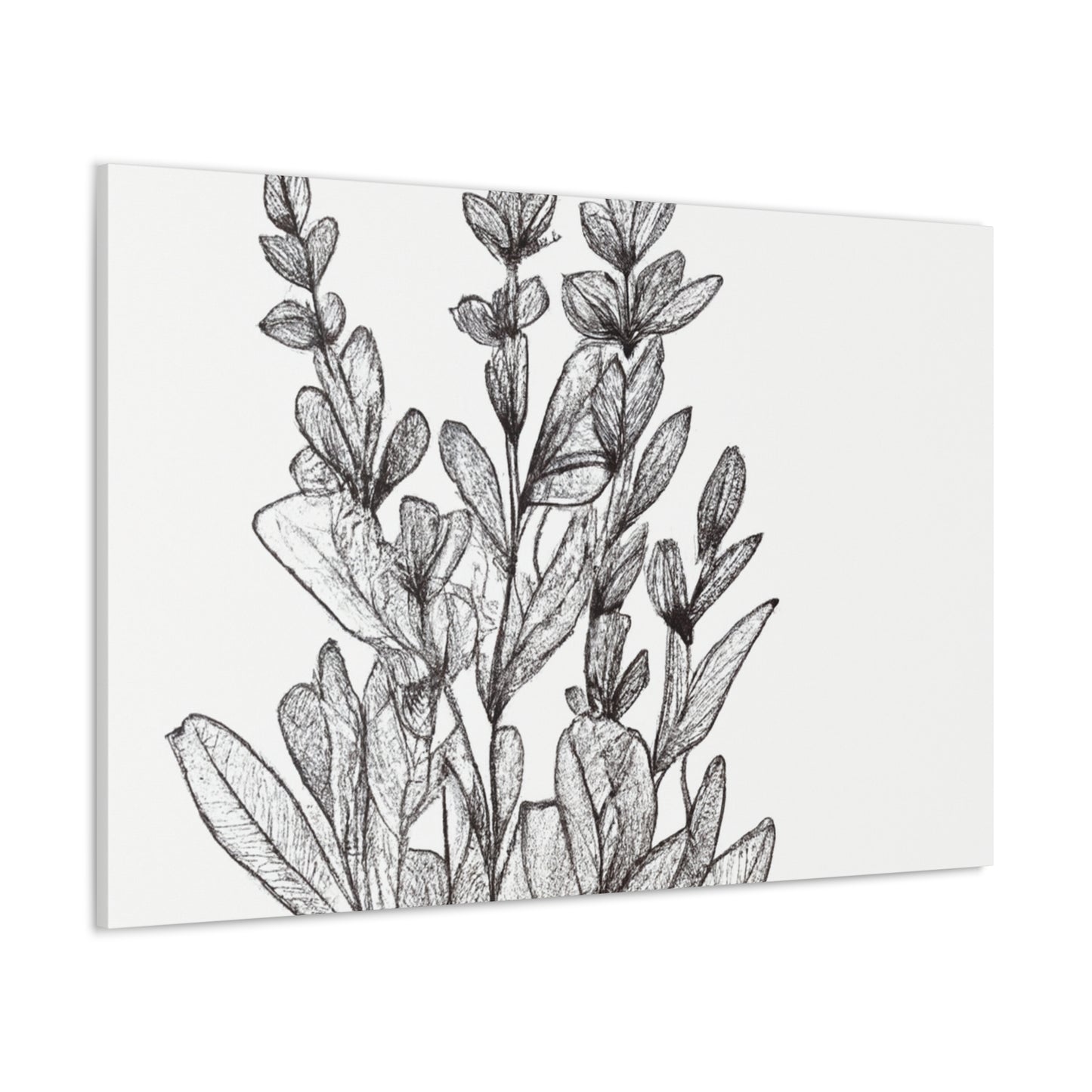 Mariclare Canvas Prints - Canvas