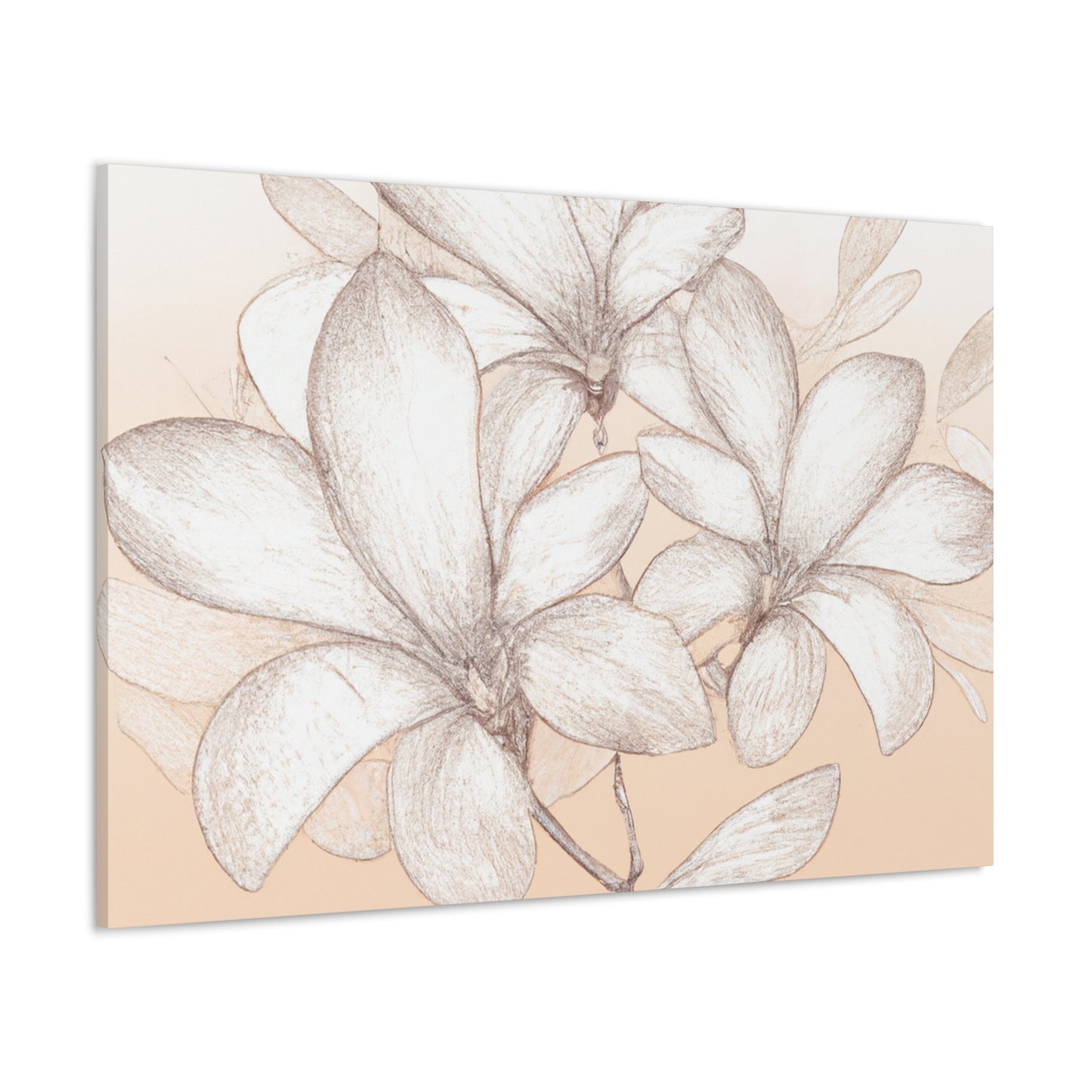 Avalonia Canvas Print - Canvas