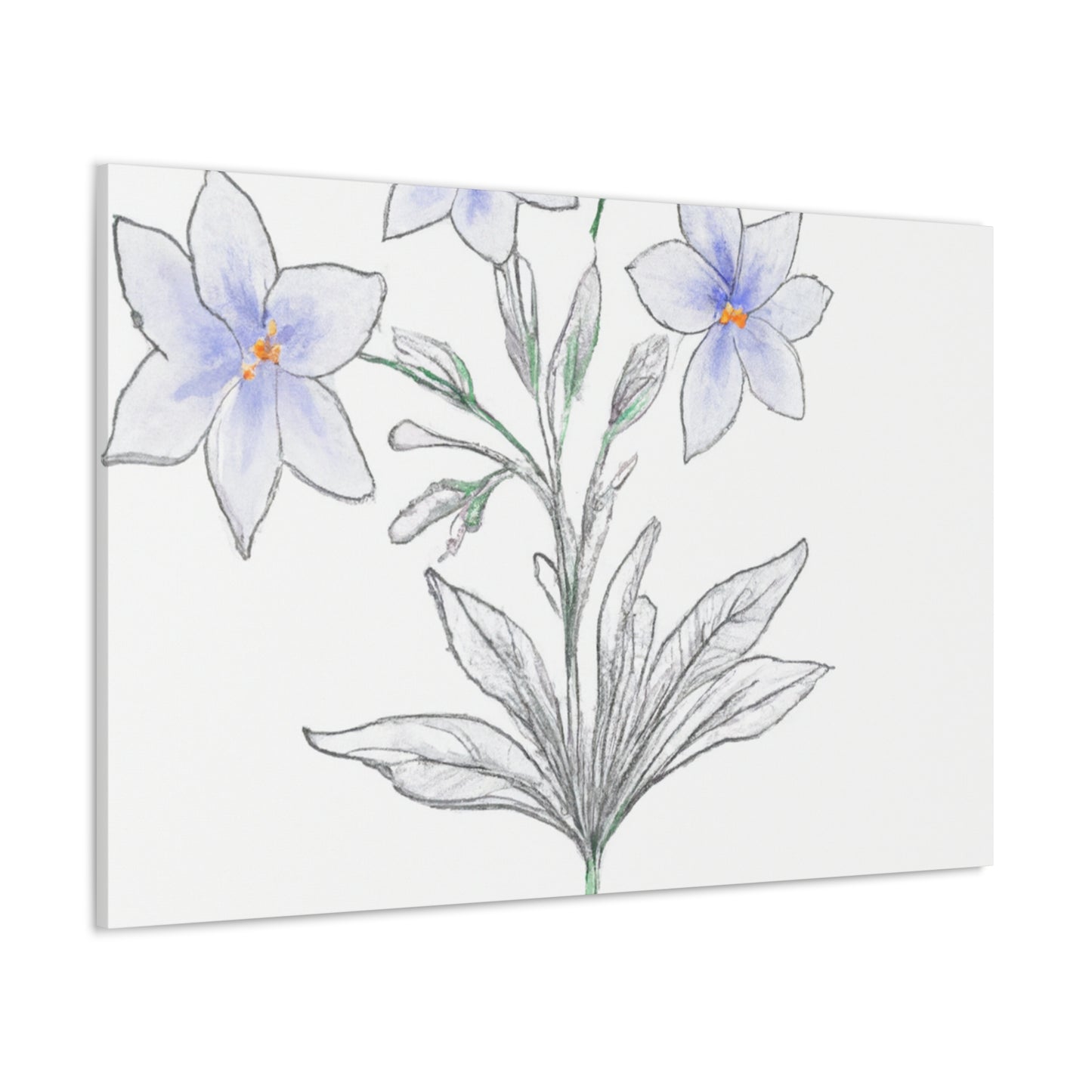 Nashkia Prints - Canvas