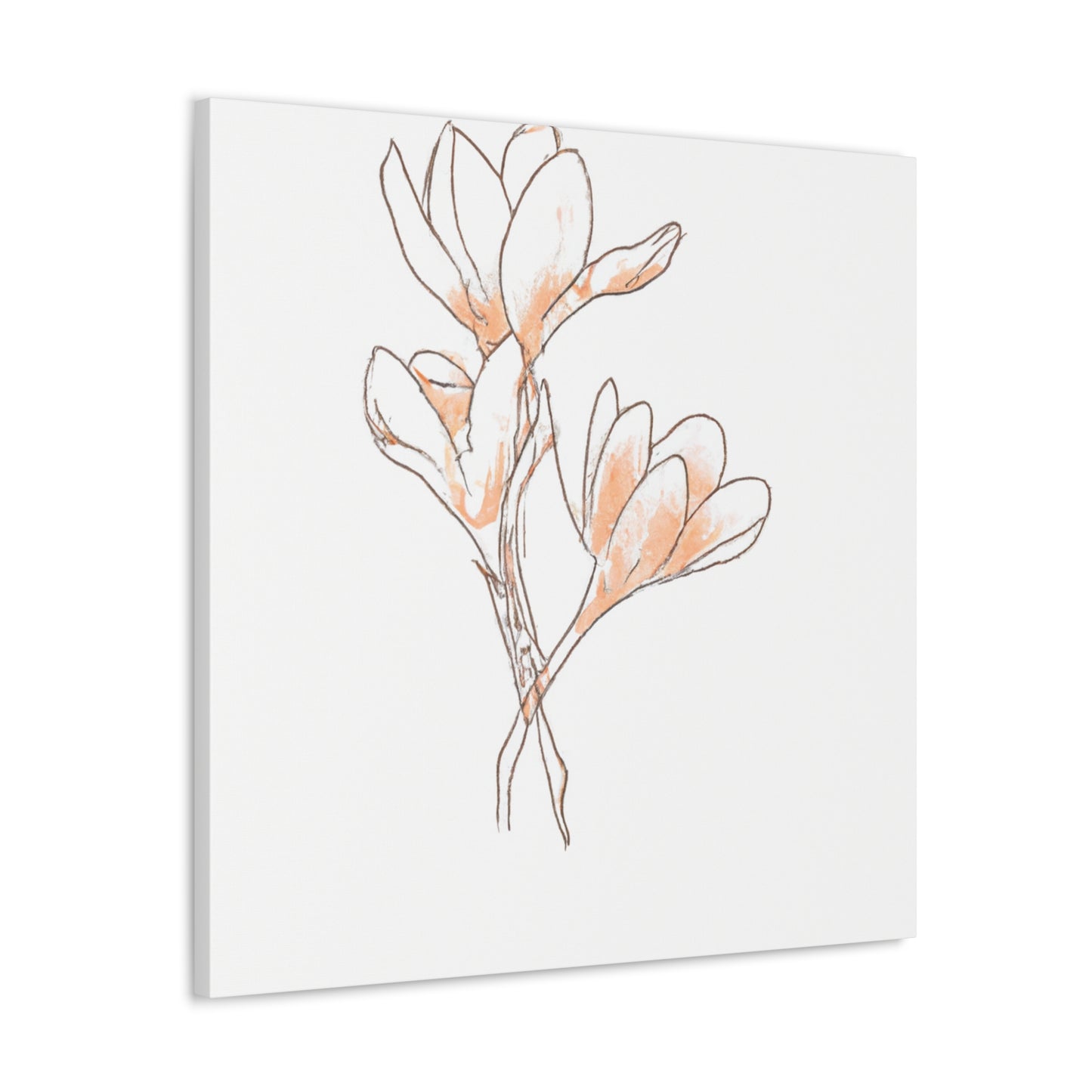 Misaella Canvas Print - Canvas