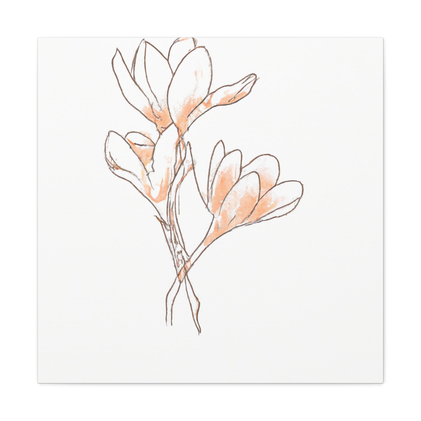 Misaella Canvas Print - Canvas