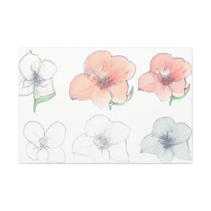 AvaRose Canvas Prints - Canvas