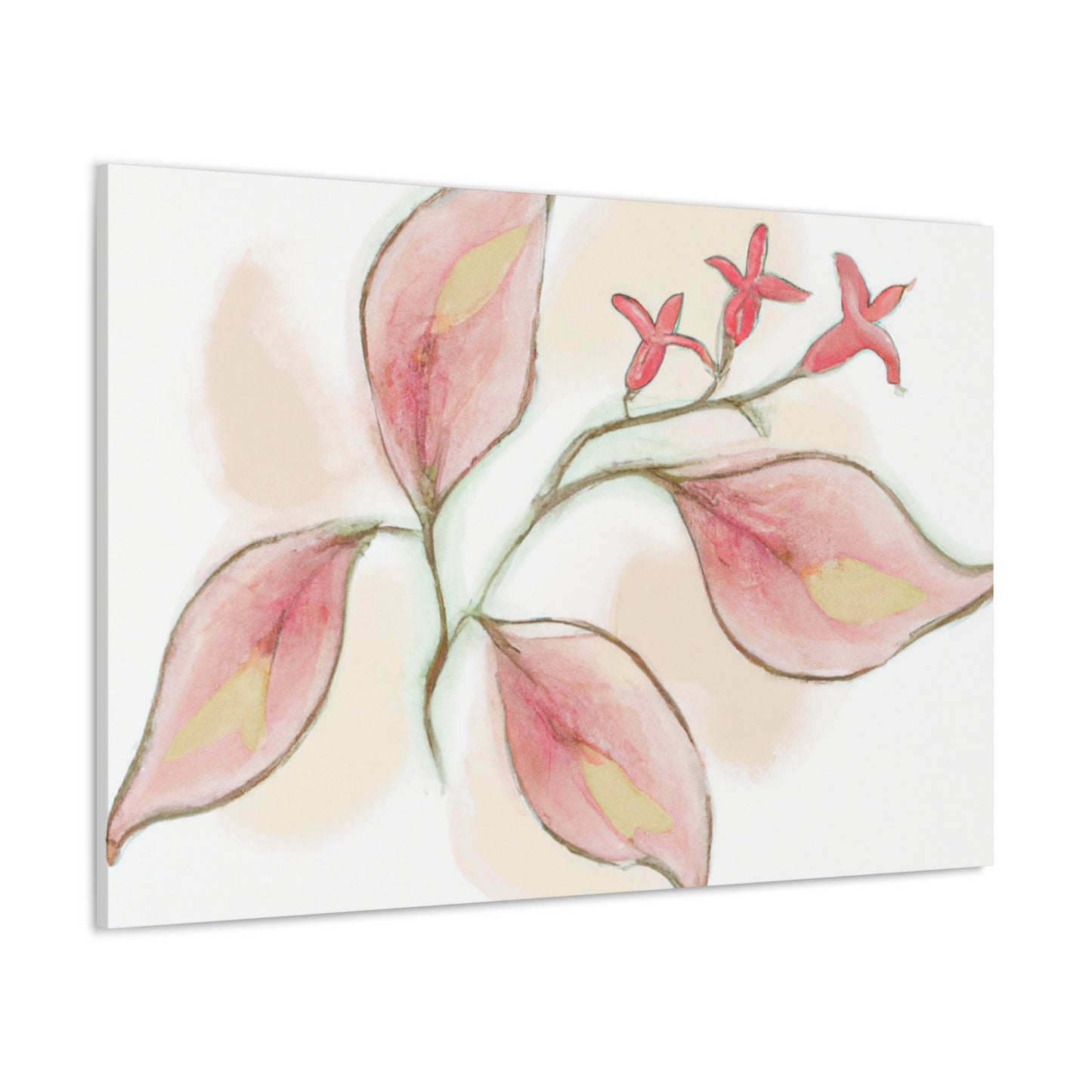 Rosellina Canvas Print - Canvas