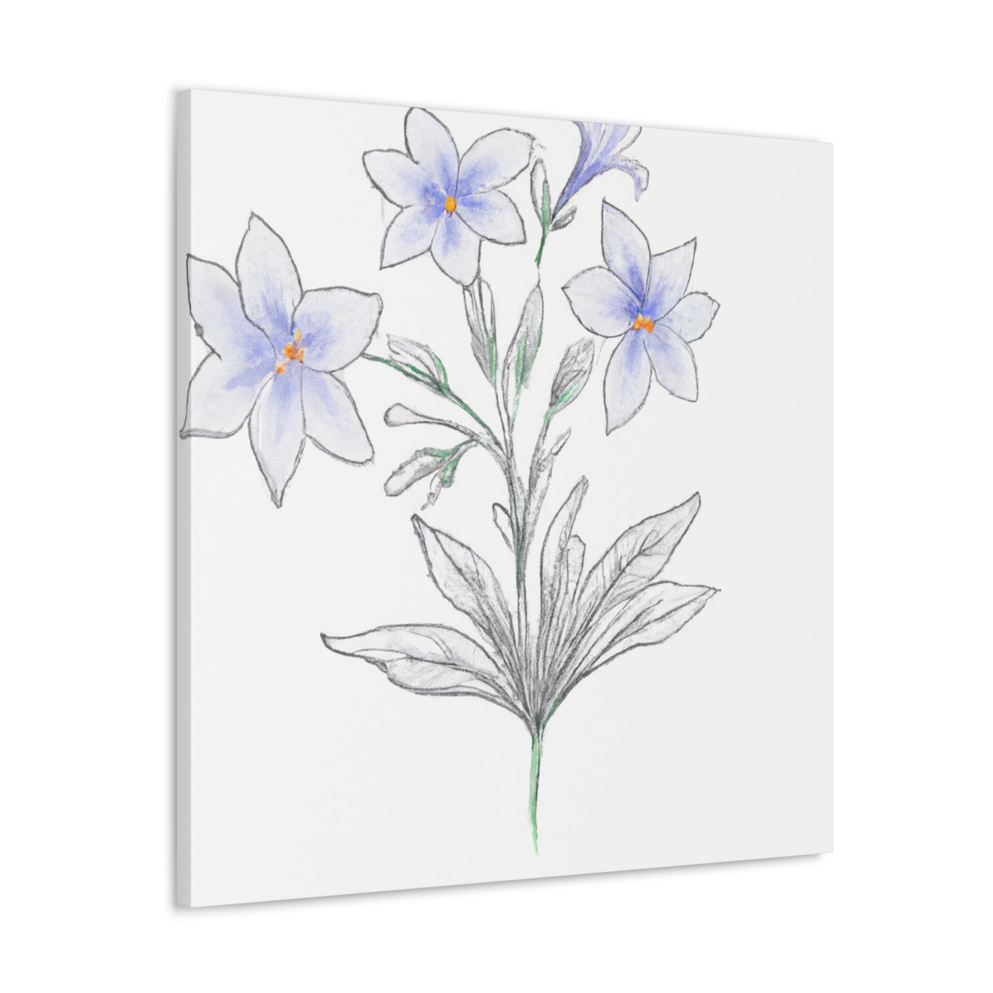 Nashkia Prints - Canvas