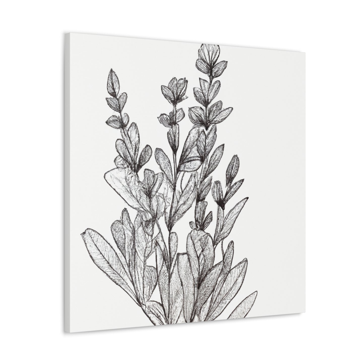 Mariclare Canvas Prints - Canvas