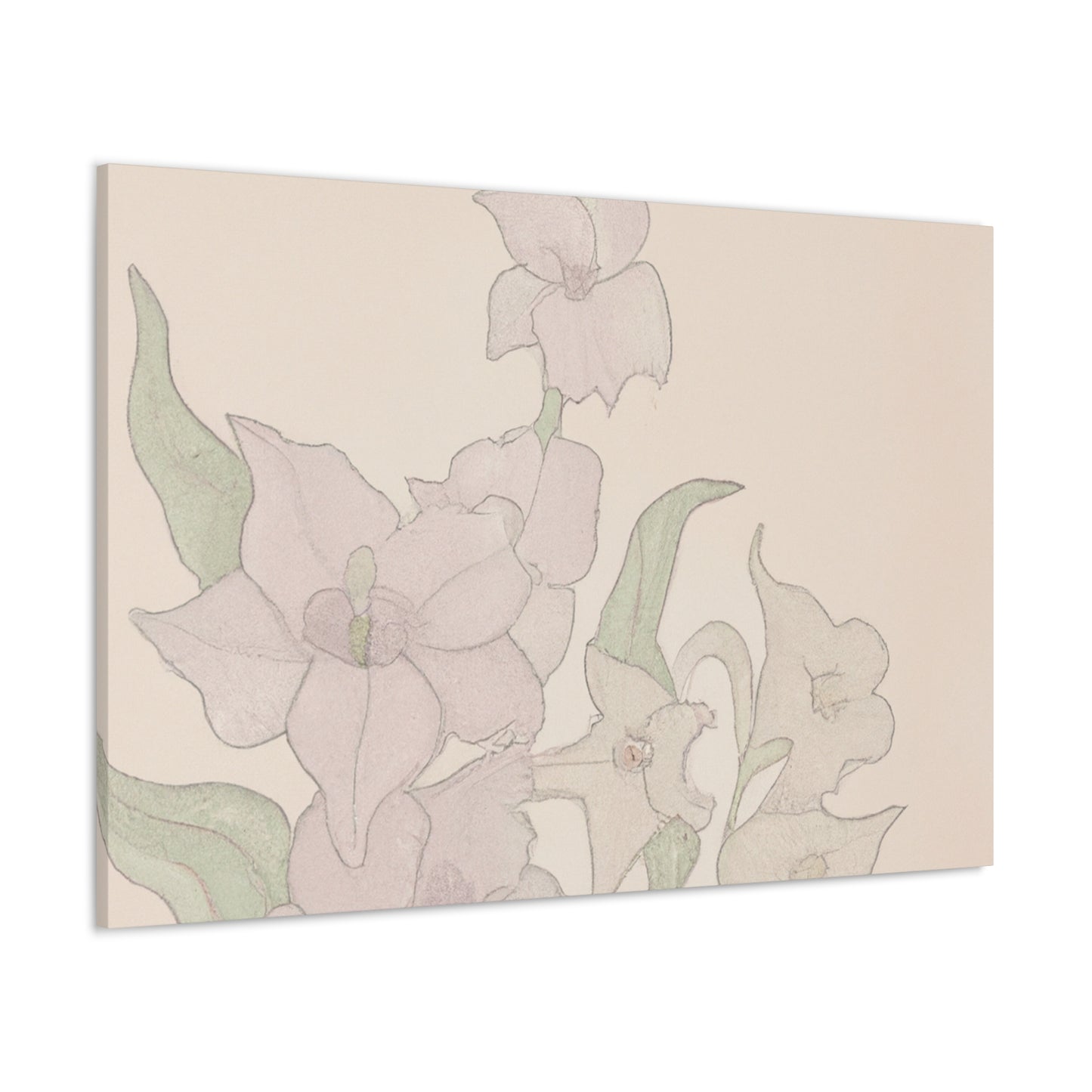 Maeleah Canvas Print - Canvas