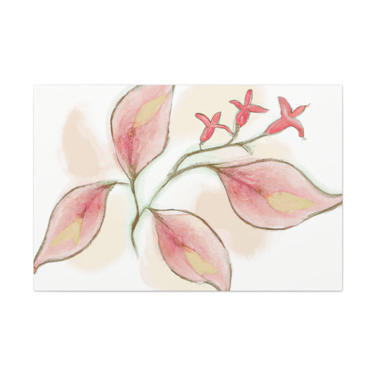 Rosellina Canvas Print - Canvas