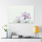 Aurelia Canvas Prints - Canvas