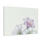 Aurelia Canvas Prints - Canvas