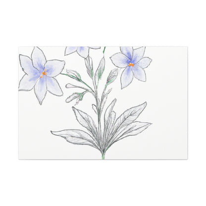 Nashkia Prints - Canvas