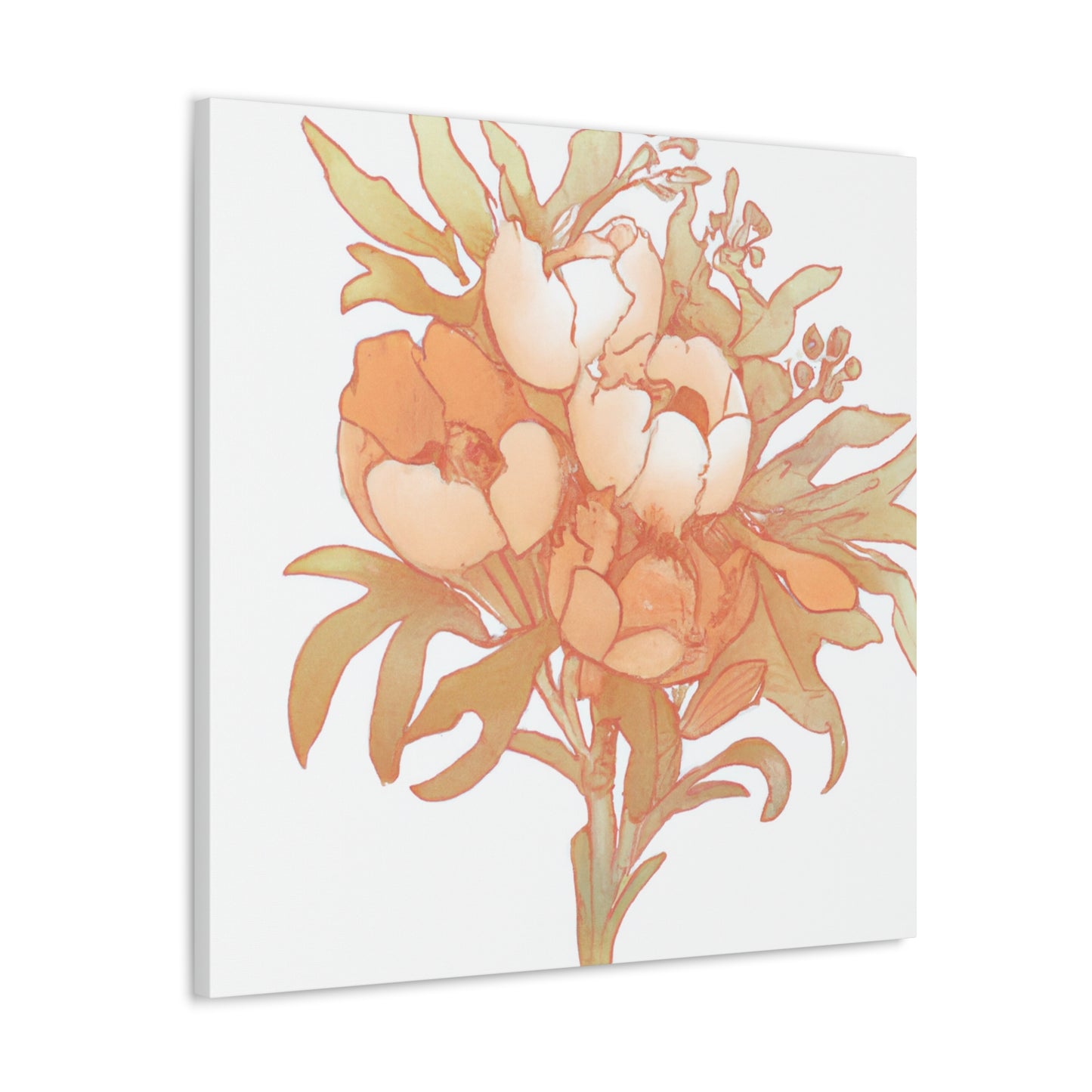 Olivella Canvas Prints - Canvas