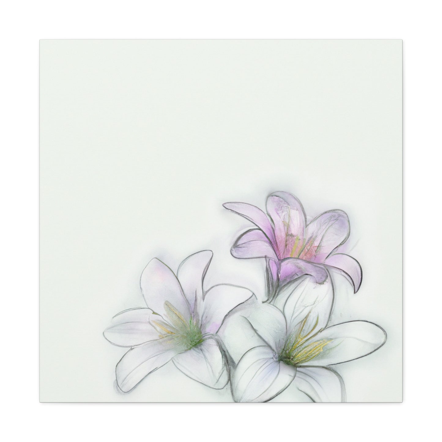 Aurelia Canvas Prints - Canvas