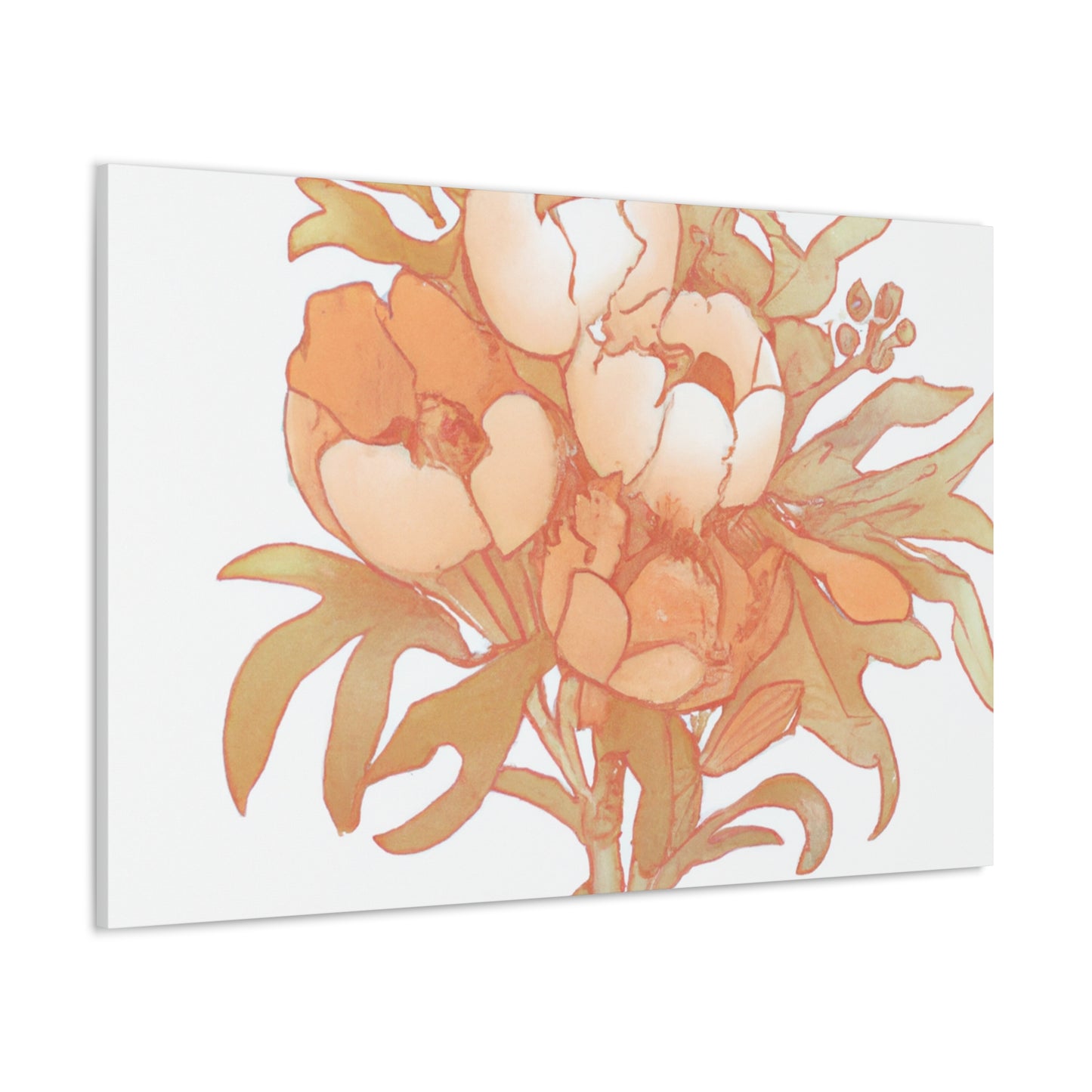 Olivella Canvas Prints - Canvas