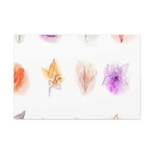 Poppy Delphine Prints - Canvas